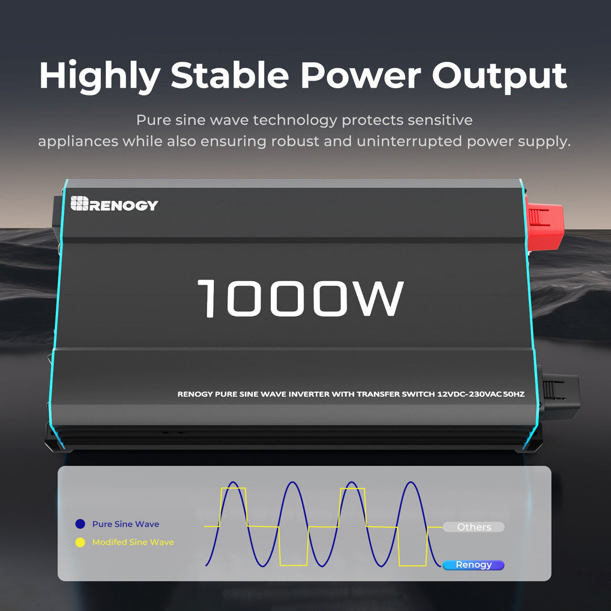 Renogy 1000W pure sine wave inverter product features and connections
